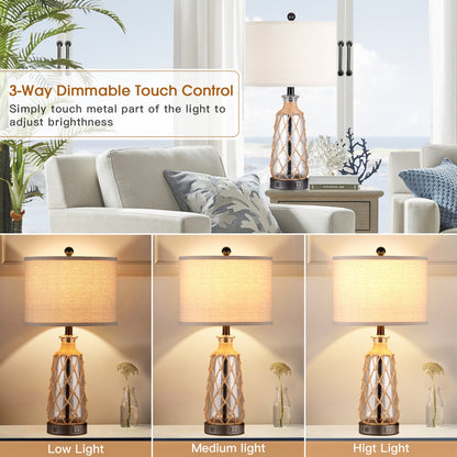 Brown glass rattan table lamp with touch dimmer, USB port and AC outlet (Set of 2)